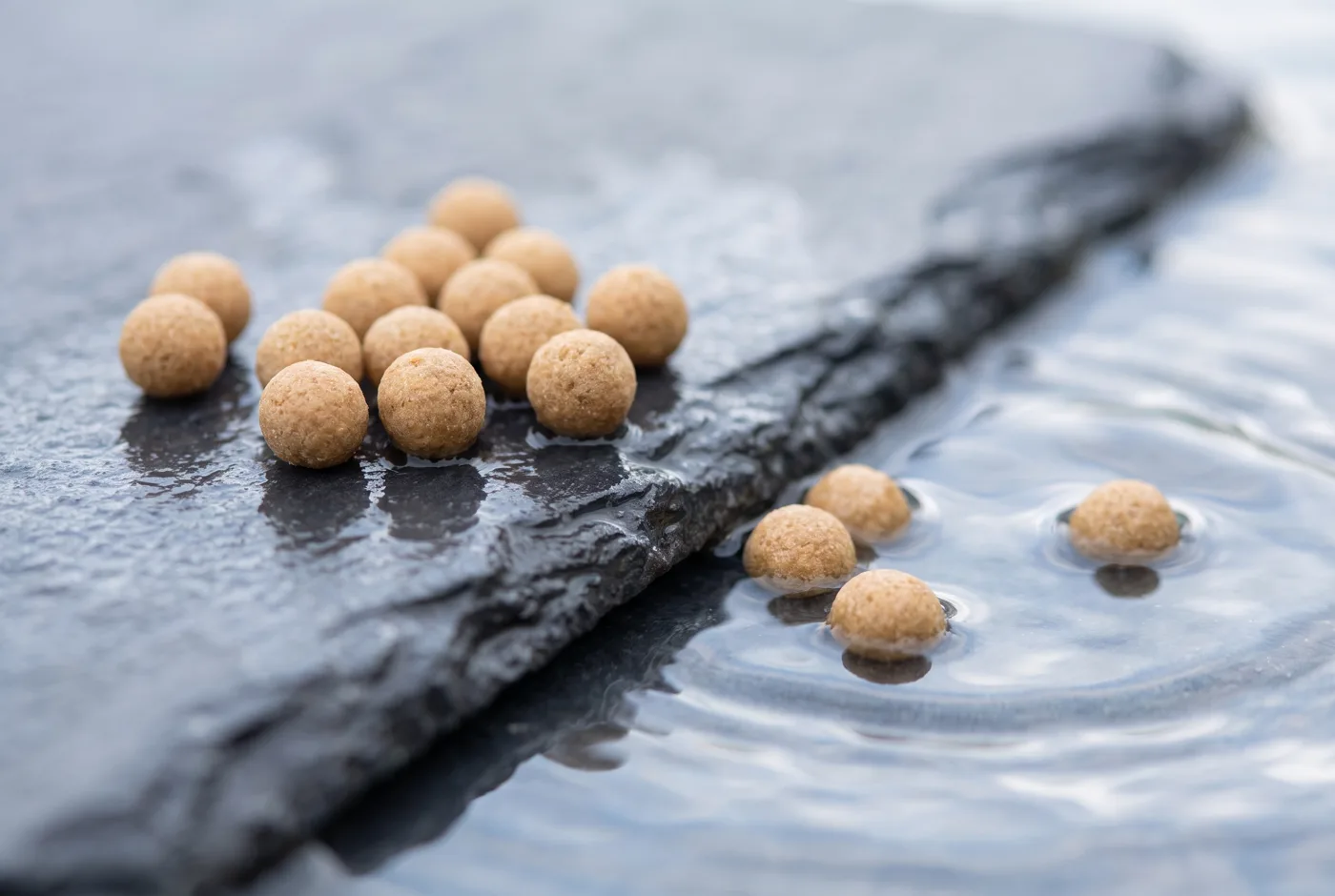 Extruded floating aqua feed pellets, some in water